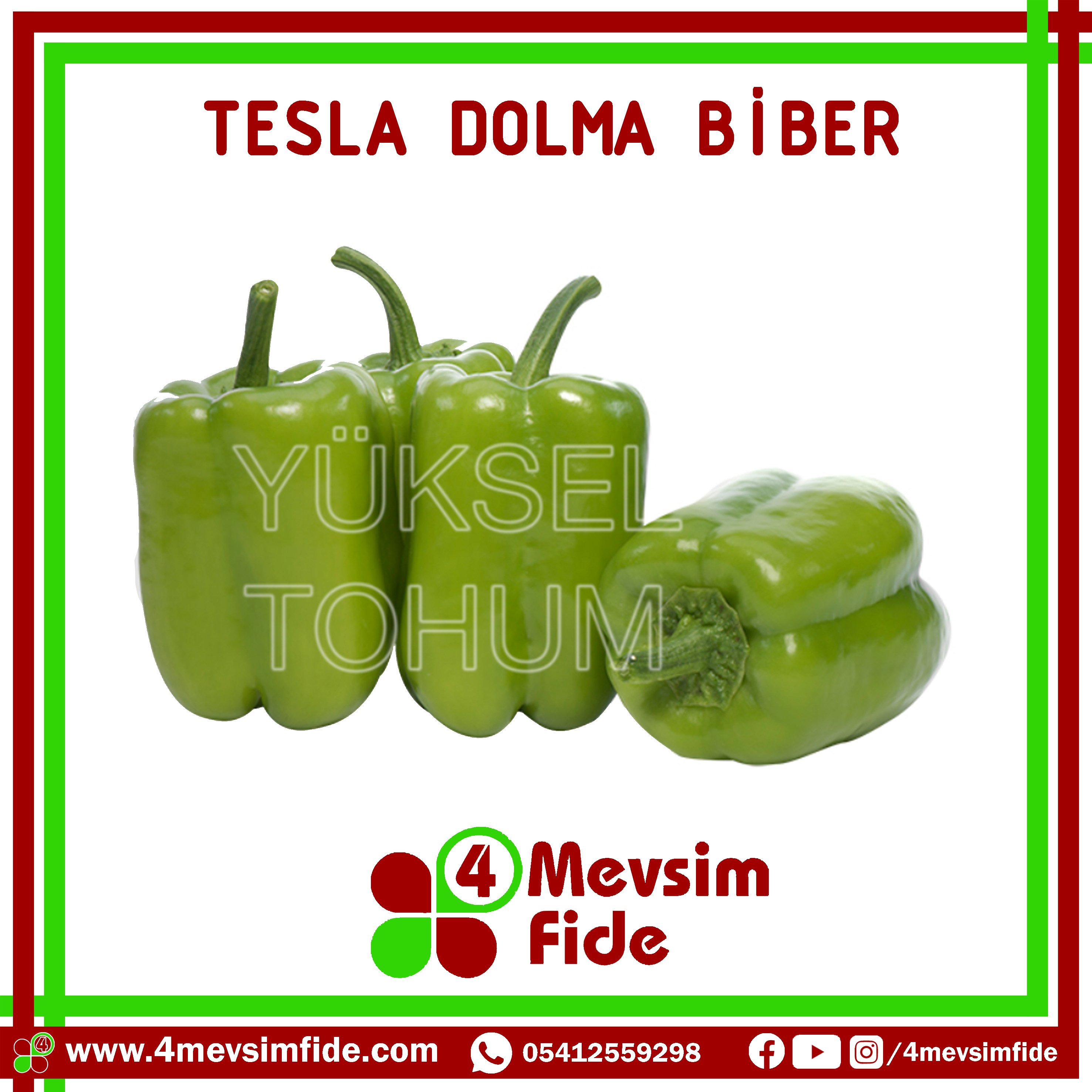 Tesla Dolma Biber