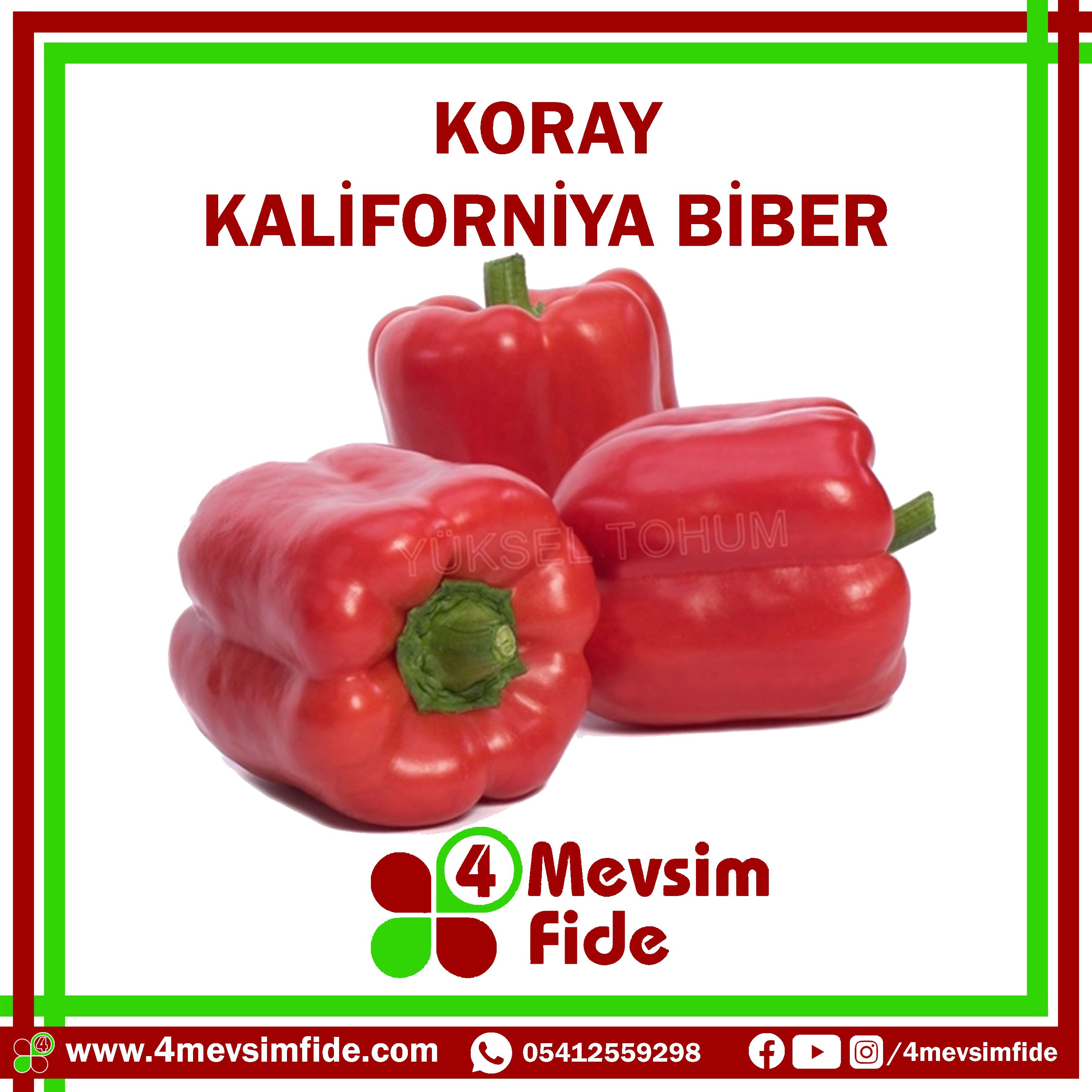 Koray F1 Kaliforniya Biber