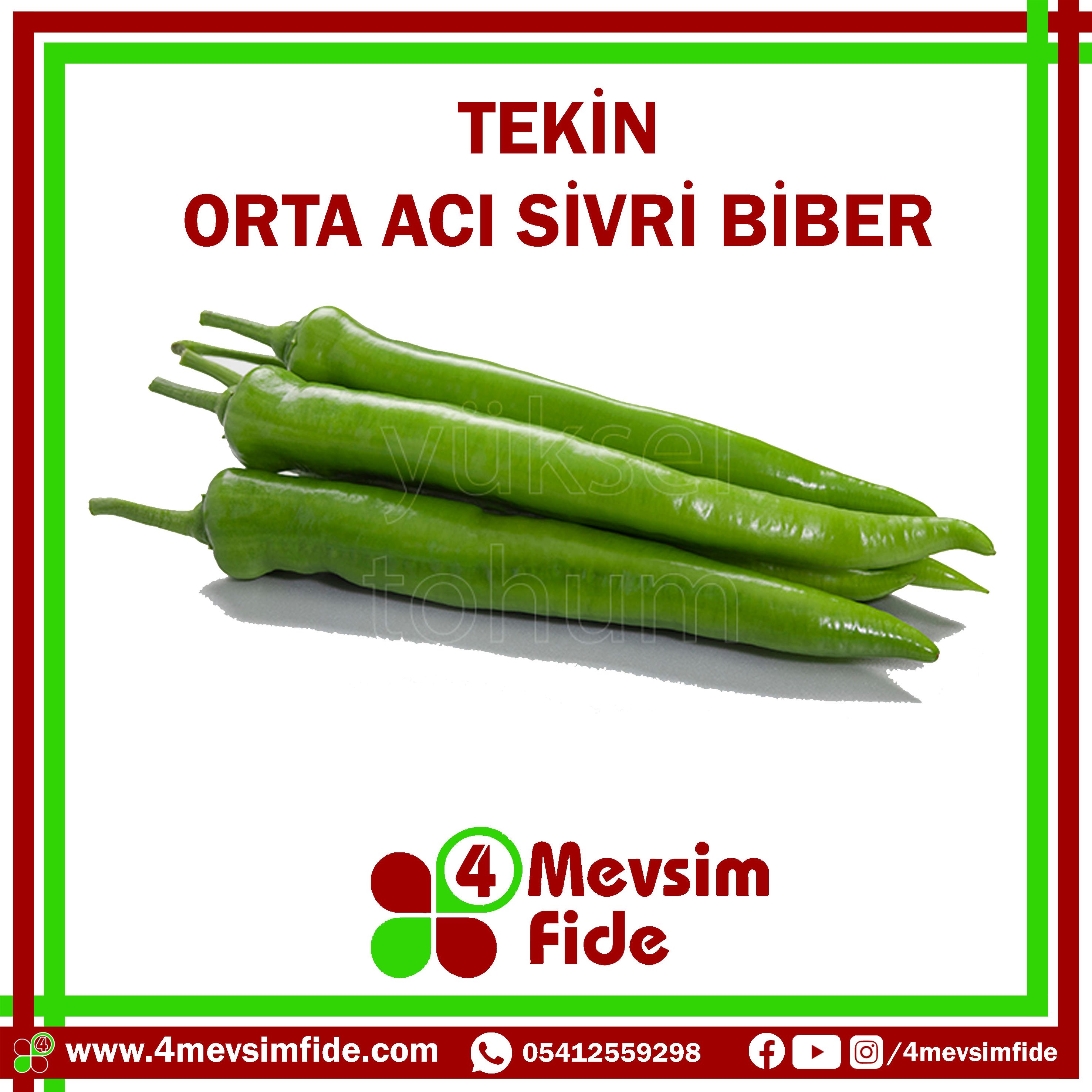 Tekin Sivri Biber 