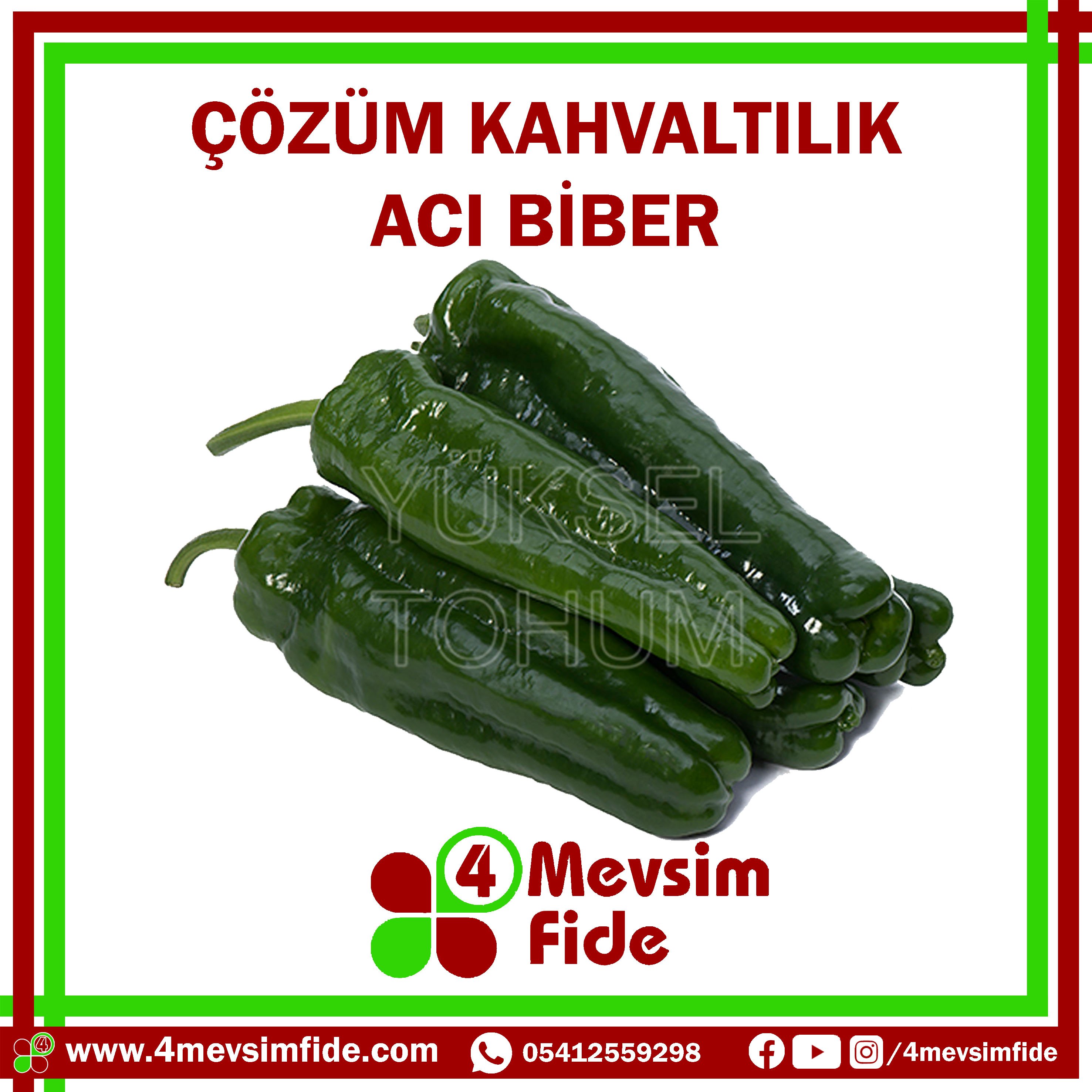 Çözüm F1 Kahvaltılık Biber