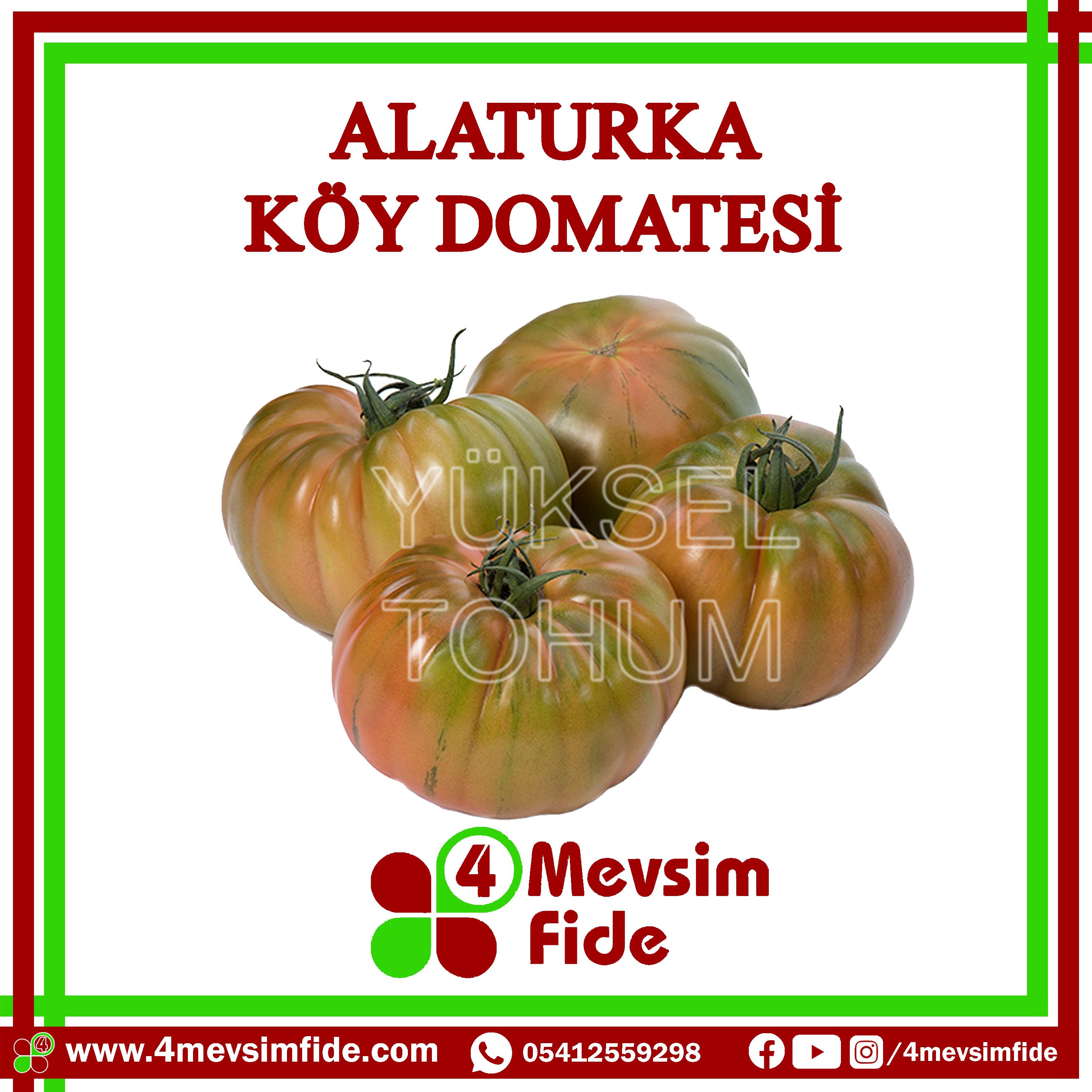 Alaturka F1 Köy Domates