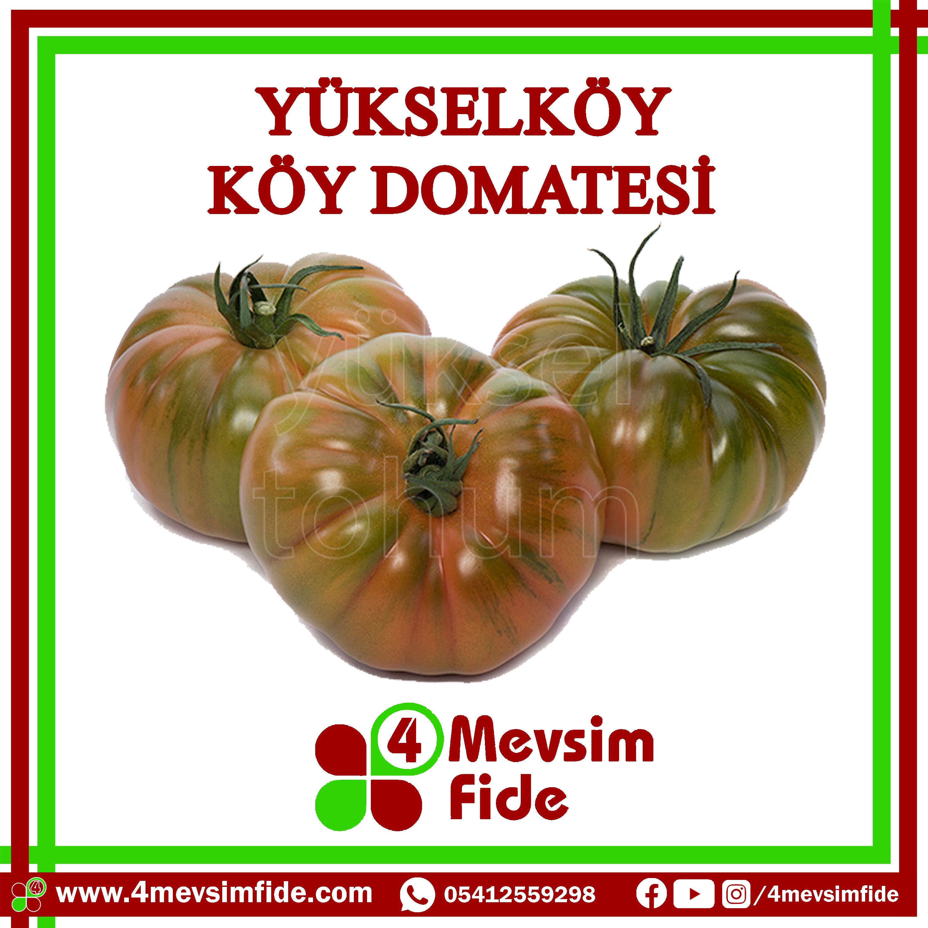 Yükselköy F1 Köy Domates