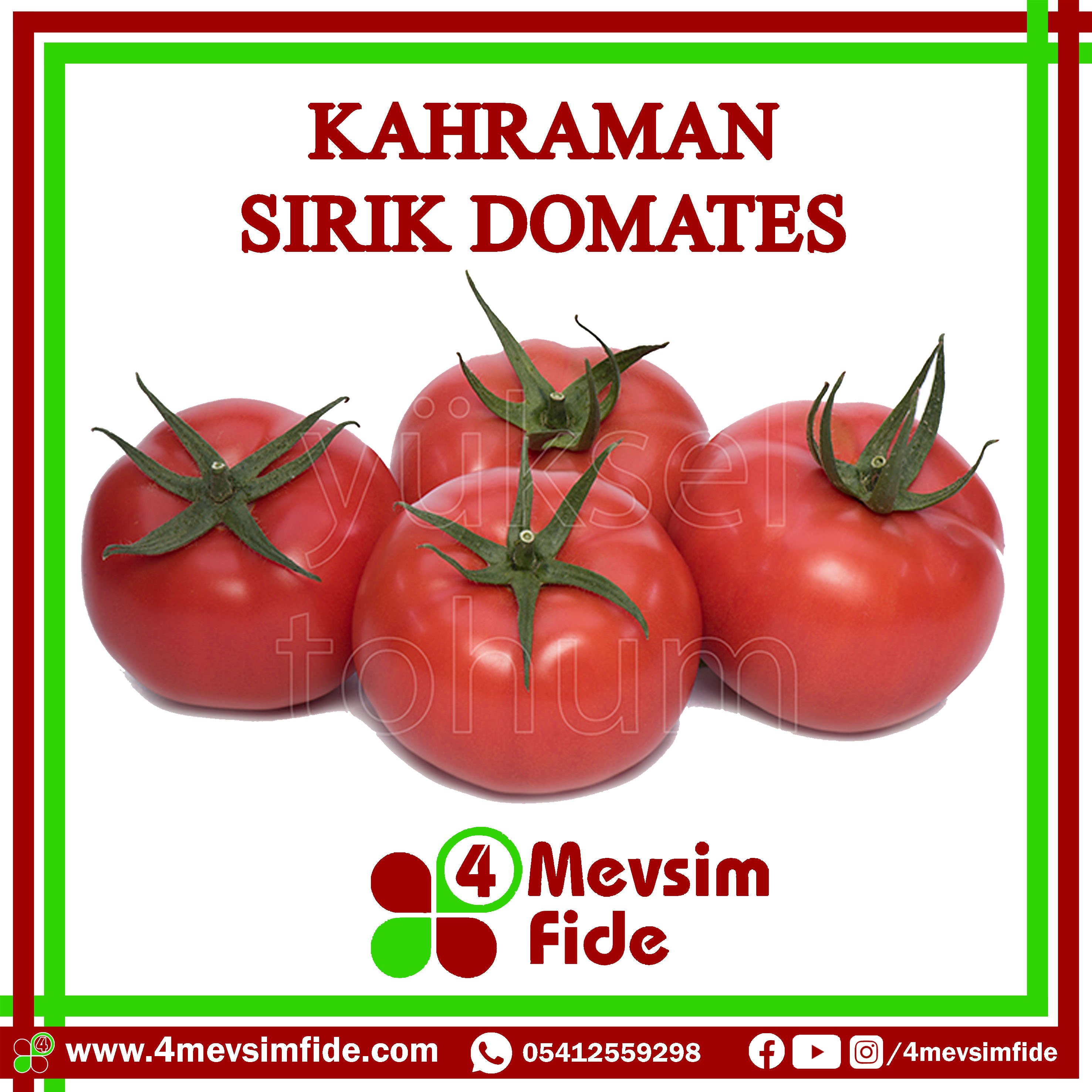 Kahraman F1 Sırık Domates 