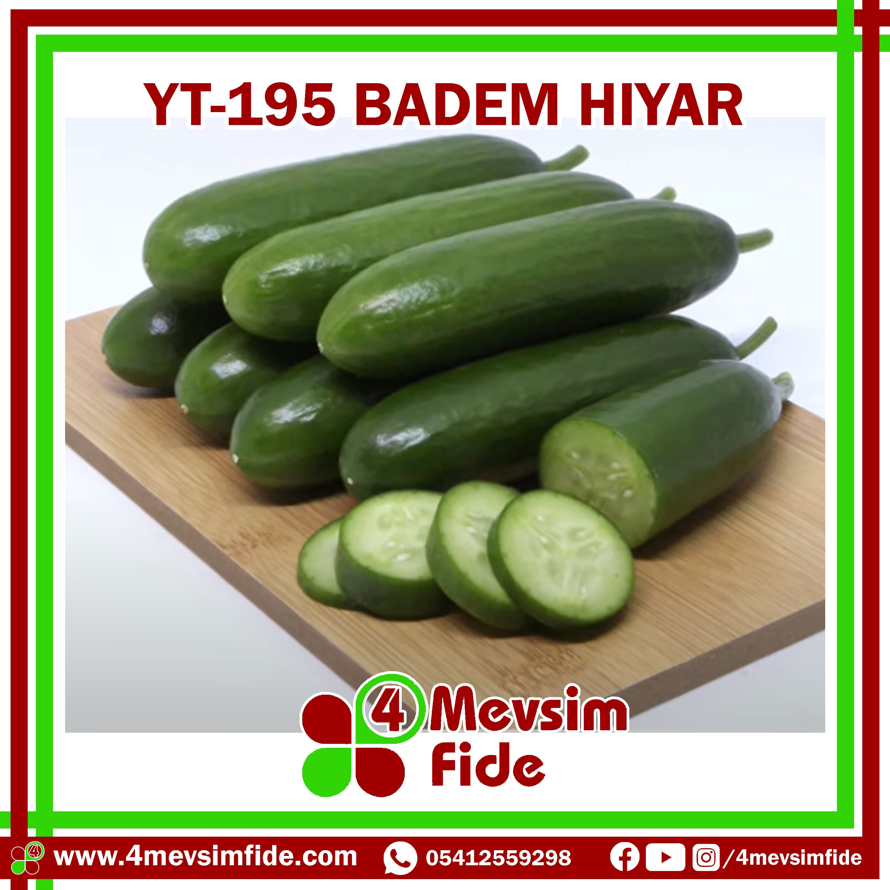 YT-195 F1 hıyar fidesi