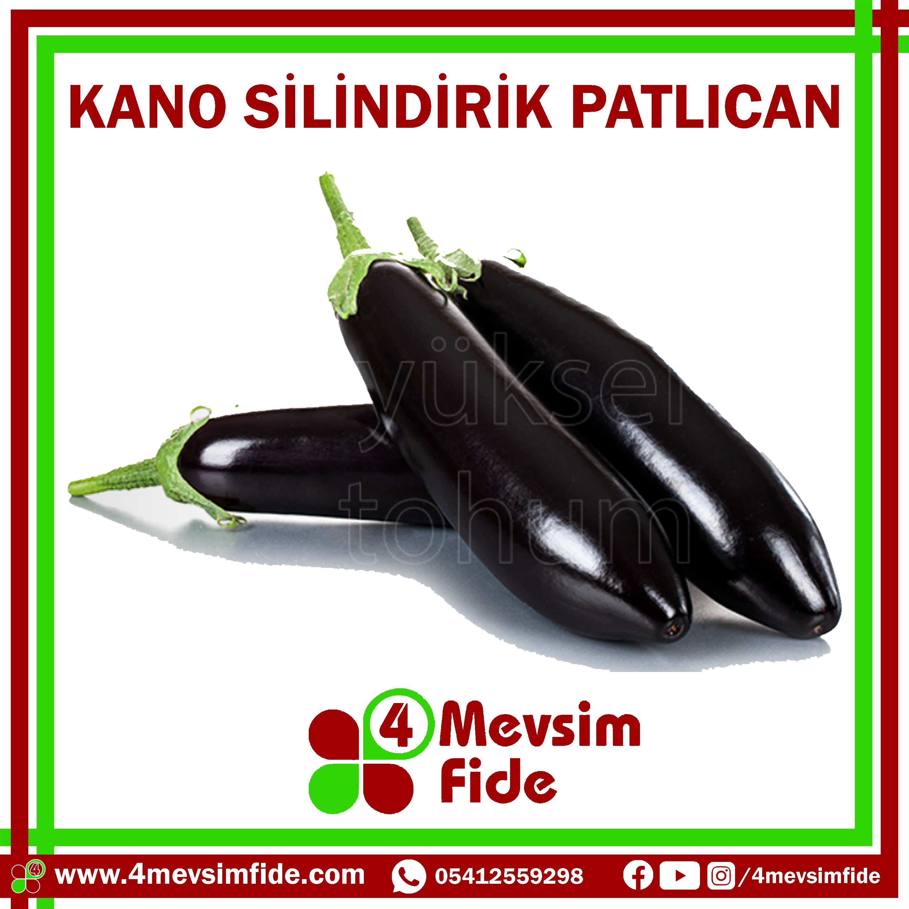 kano f1 silindirik patlıcan